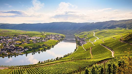 The Moselle River near Cochem and Bremm surrounded by vineyard, Germany